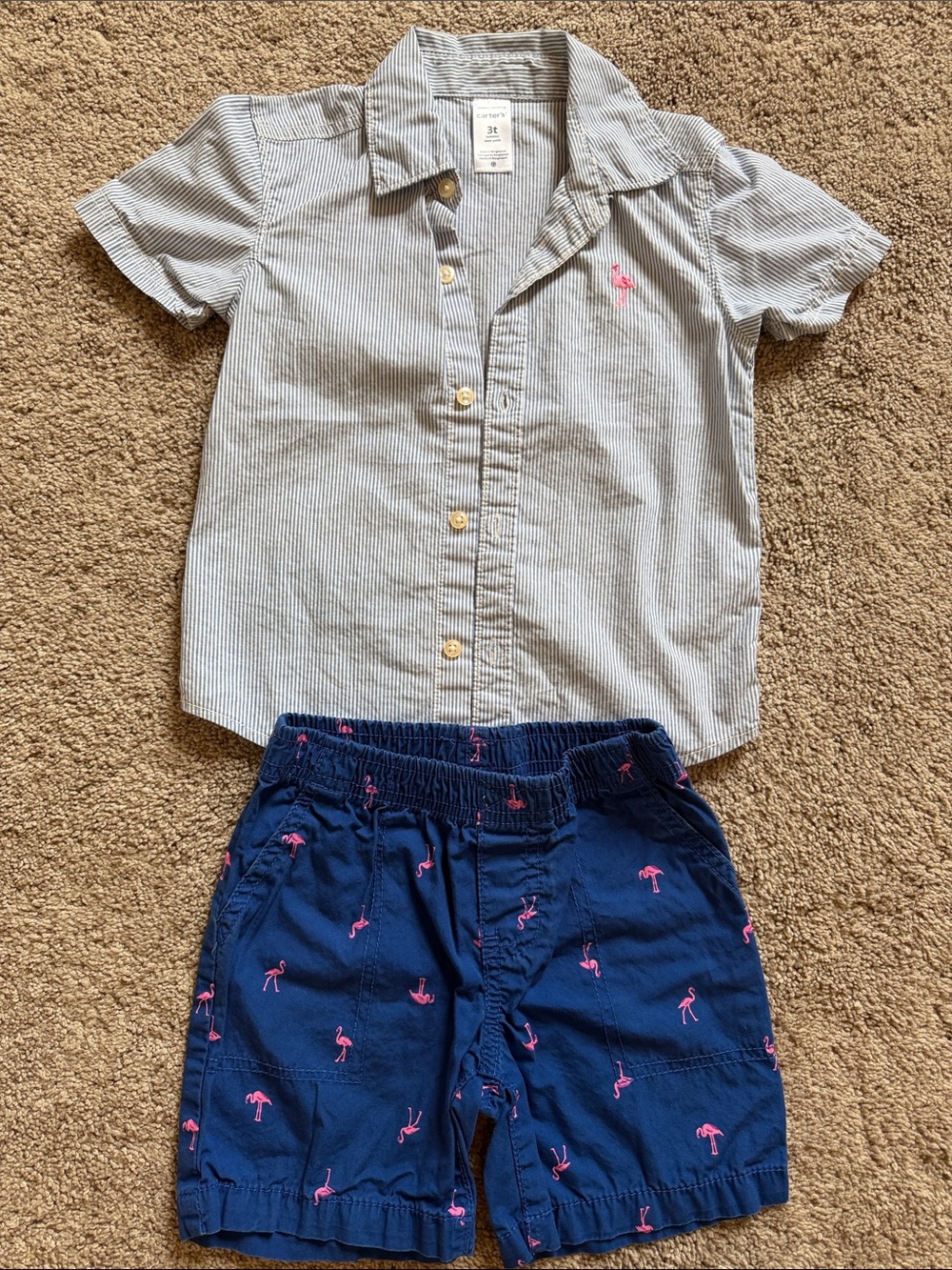 Carter's Blue Pinstripe Button-Down Shirt with Flamingo Shorts